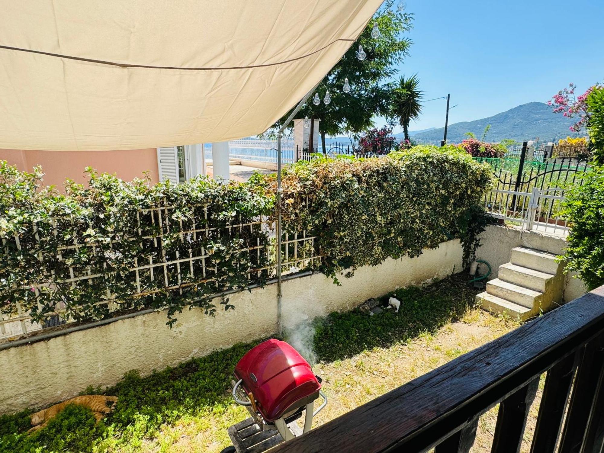 Villa Harmony PalaiónTsiflíkion Esterno foto